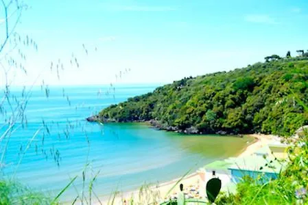 In - Little Paradise